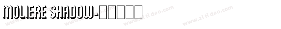 Moliere Shadow字体转换